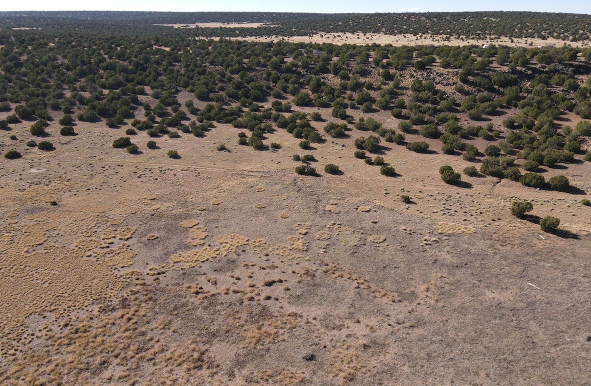 dji_fly_20231027_142100_129_1698441872048_photo