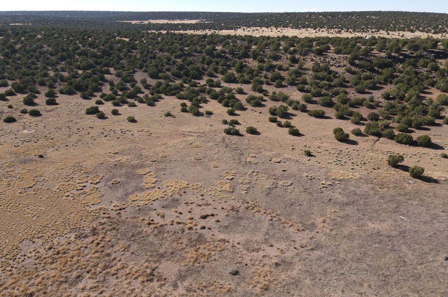dji_fly_20231027_142100_129_1698441872048_photo