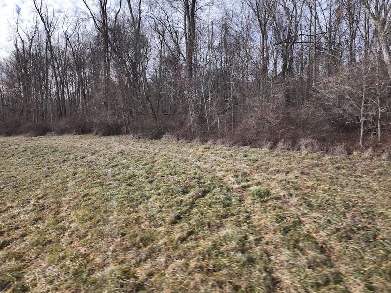 DJI_20241224023855_0065_D