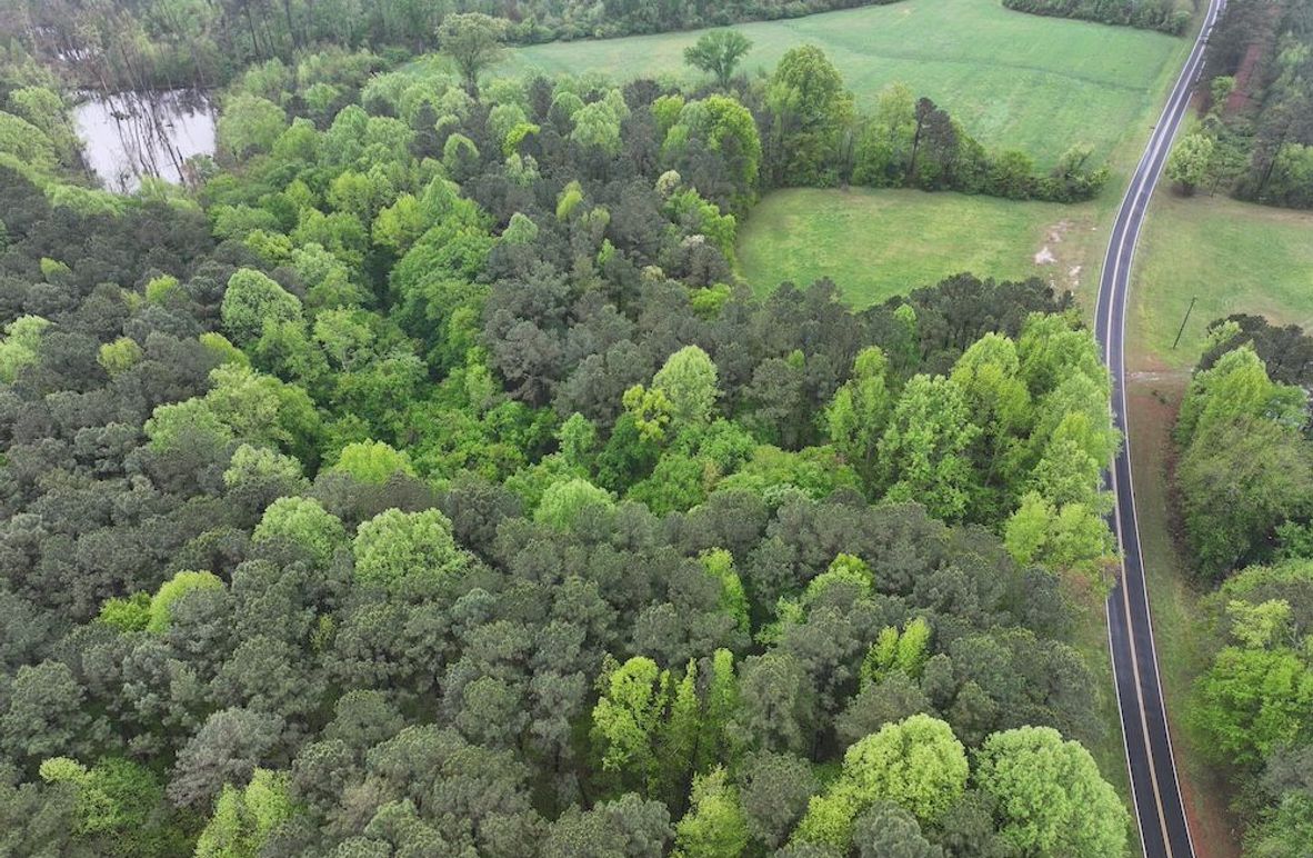 Copy of DJI_20250411111233_0030_D