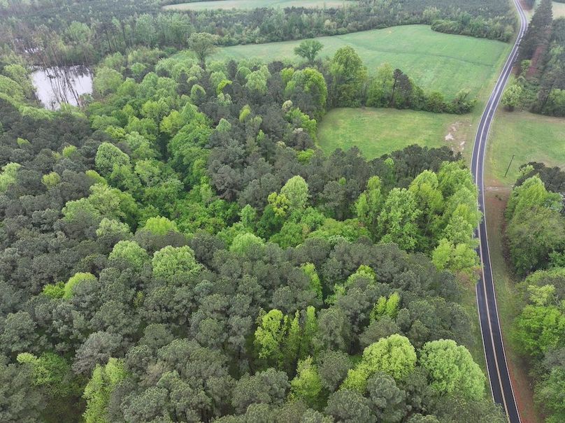 Copy of DJI_20250411111233_0030_D