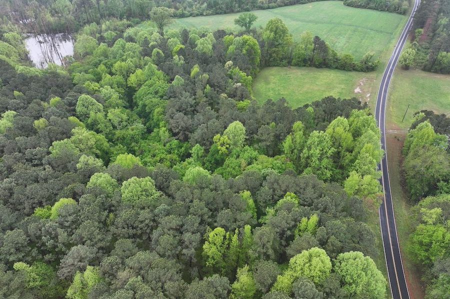 Copy of DJI_20250411111233_0030_D