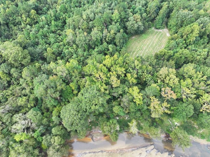 dji_fly_20250924_095428_0542_1758726282501_photo