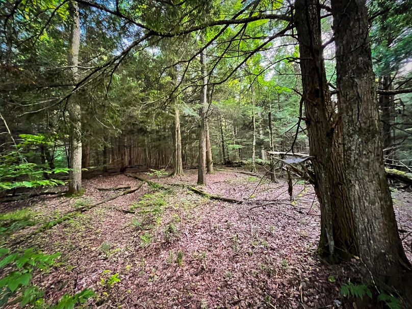 Oswego_30_RouselandInvestments_LLC_Photos_3