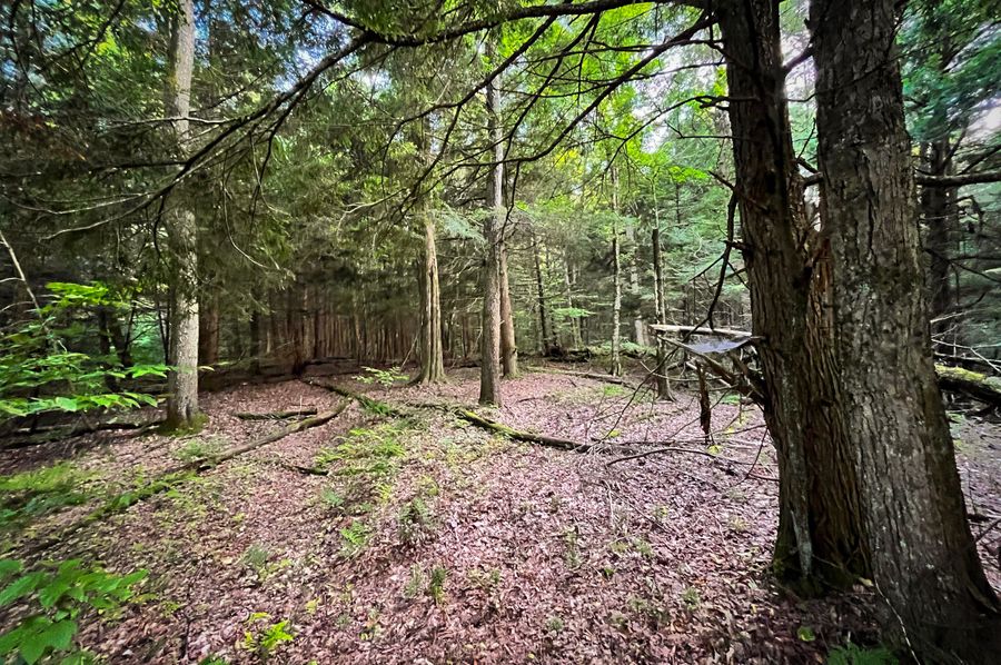 Oswego_30_RouselandInvestments_LLC_Photos_3
