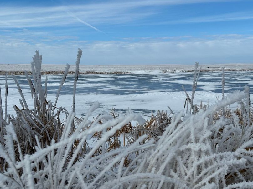 62BA02AF-FF3F-4DEB-921F-B7C1203A508D_1_105_c