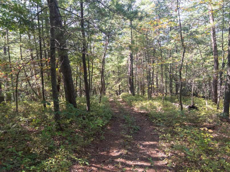 10_13.39_Alleghany_VA