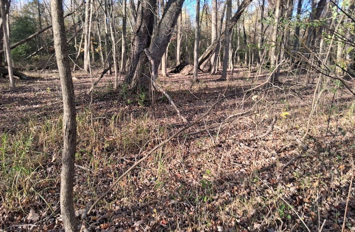 2c 4448563512141596232