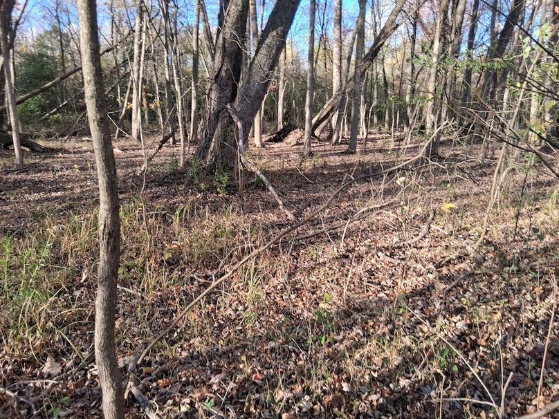 2c 4448563512141596232