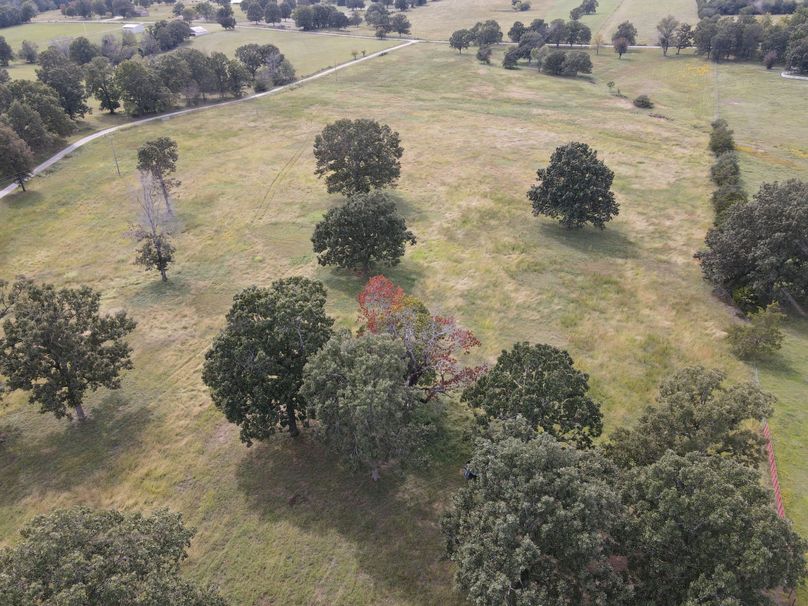 DJI_0290