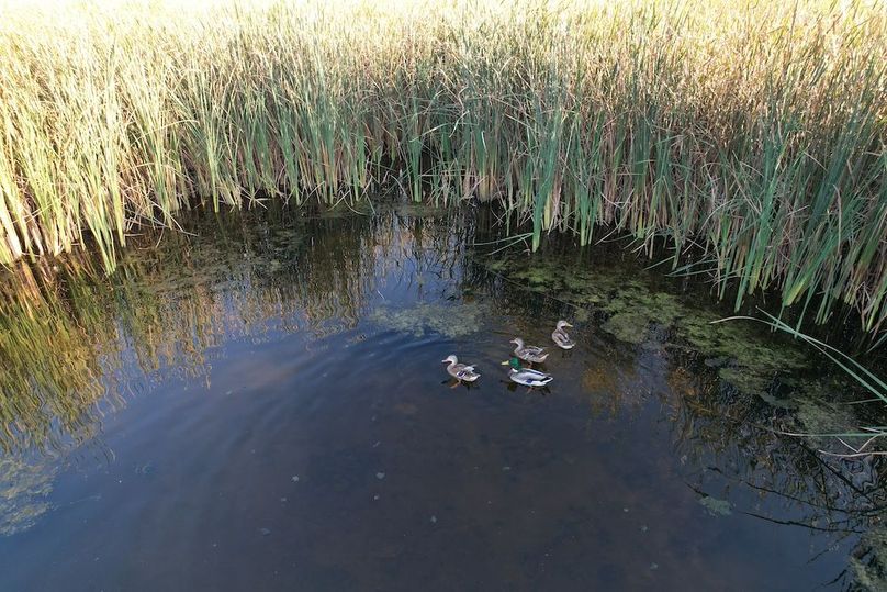 dji_fly_20250922_180936_973_1758582759546_photo