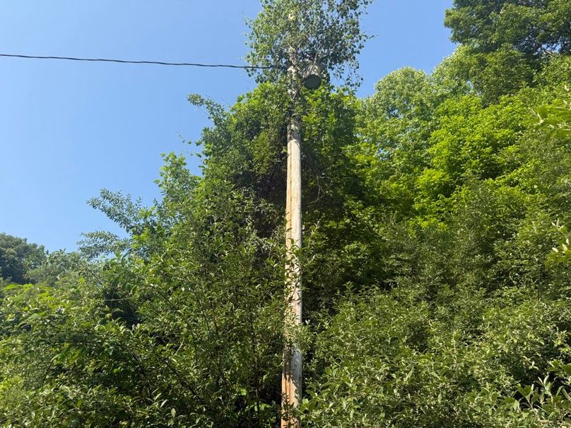 017 the power pole and line located on the property at the south edge at the old homestead-2