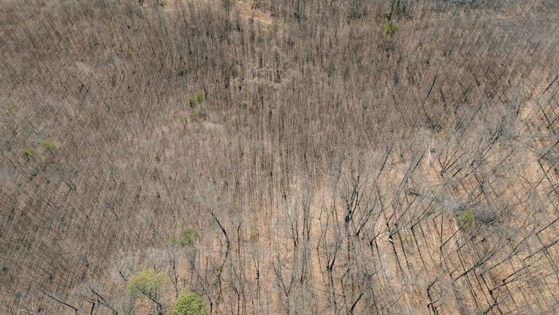 DJI_20260217120755_0101_D