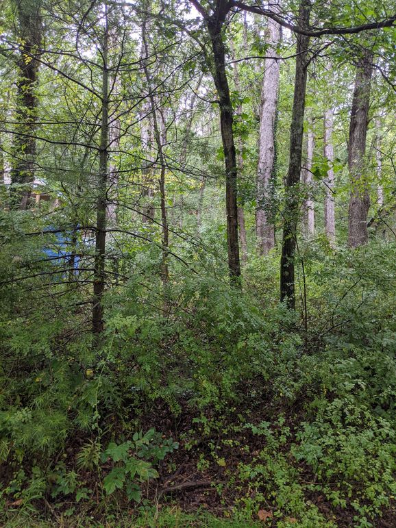 PXL_20230909_201543795