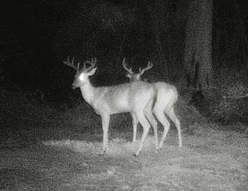 Screenshot_20221201-202809_Gallery