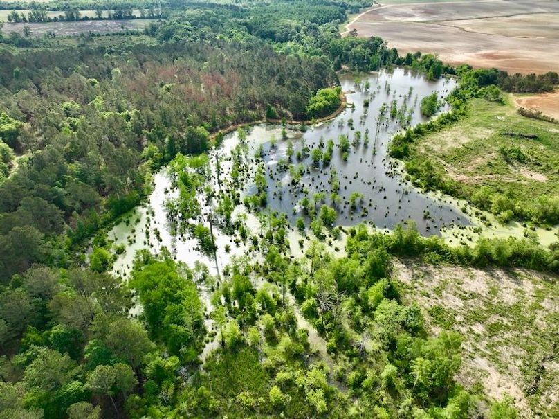 dji_fly_20260427_095130_602_1777299978487_photo