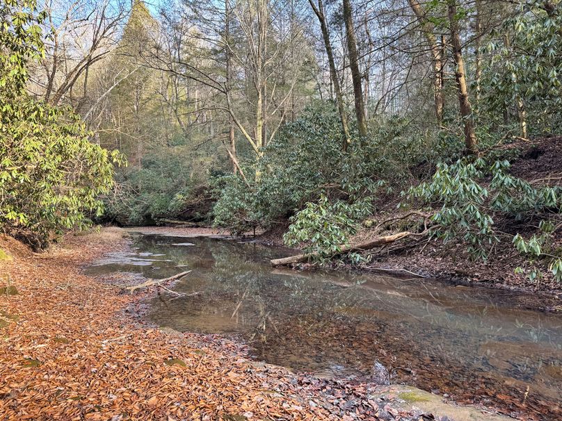 008 gorgeous waters of Lower Laurel Creek