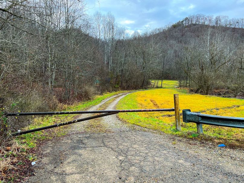 Calhoun, WV 225.69 AC Duffield-21