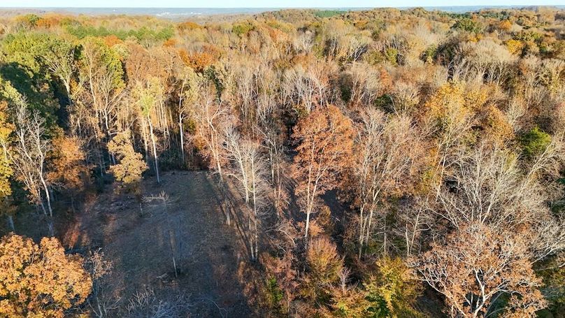 DJI_20251111154759_0053_D