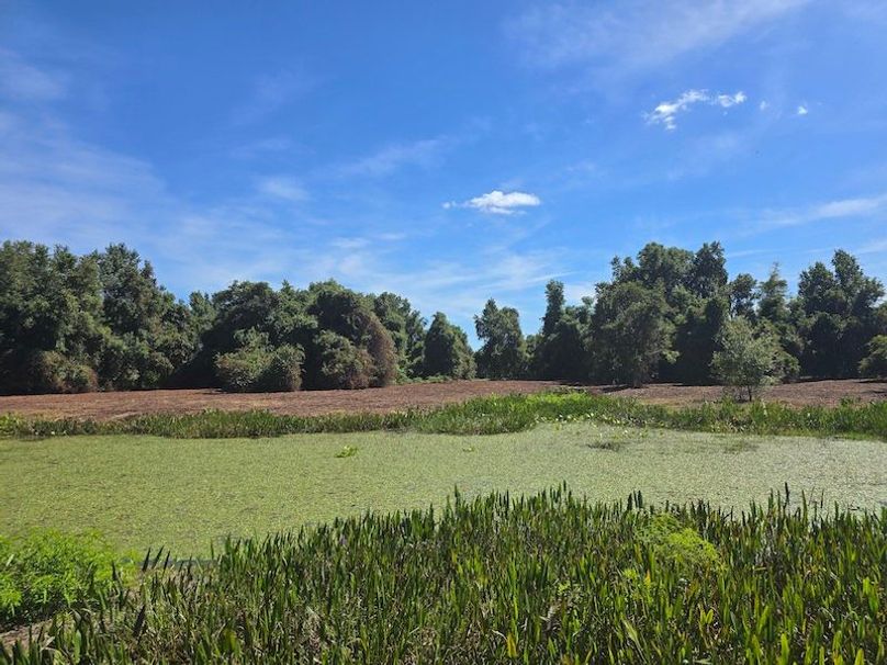 21ac, Sumter, Reelvest39