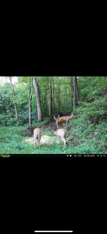 2F12CD26-C6E4-4B38-9BA8-61F3F415E967_1_102_o