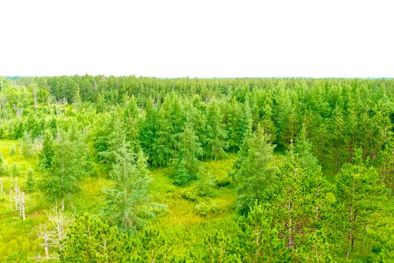 8E281035-182D-4D01-9EE7-53D551EAEE22_1_105_c