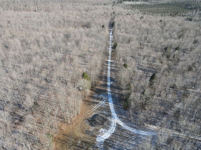 DJI_0865
