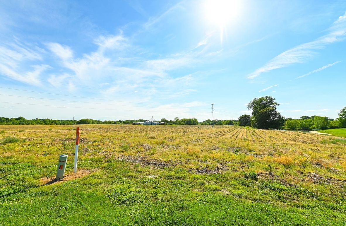 Copy of st clair 25 auction(3)