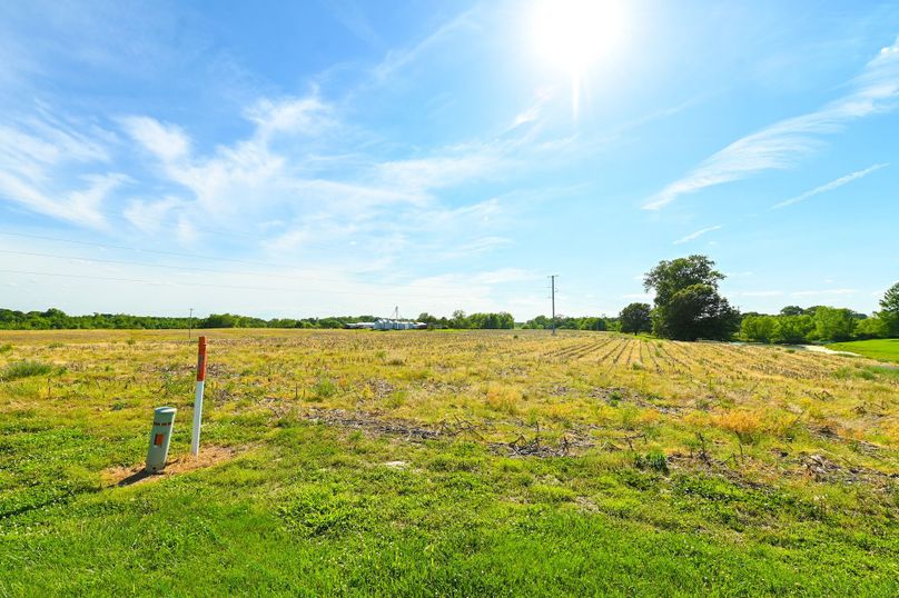 Copy of st clair 25 auction(3)