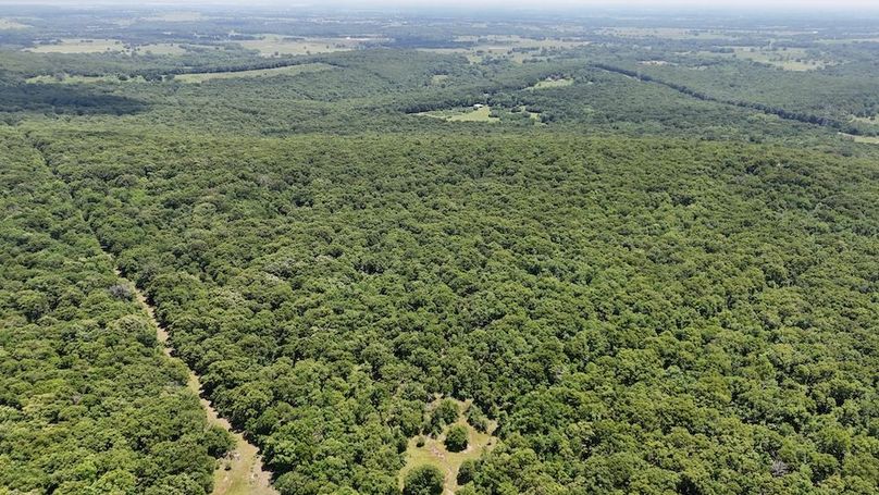 DJI_20240521134836_0010_D