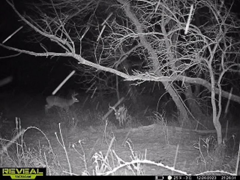 865509050044191-10-4-12262023212650-W1001166