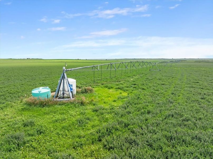 08-Cundy Property-23