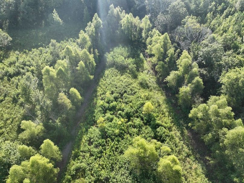 dji_fly_20240822_095516_790_1724354690039_photo