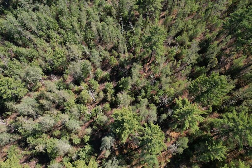 DJI_0080