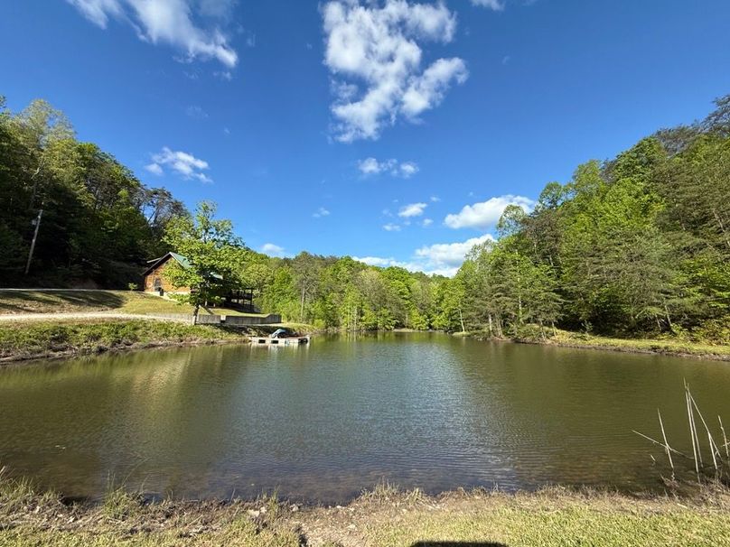 001 beautiful view of the pond and cabin from the dam of the pond