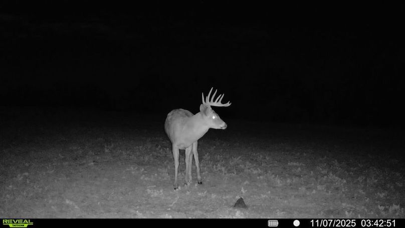 016578002025259-100-3-11072025034251-SYFW11899