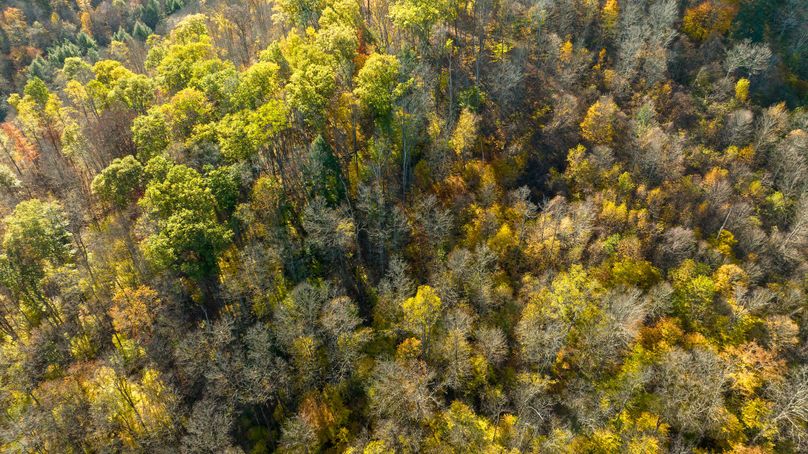 Elk PA 7000 Feature_Pro Photo-117