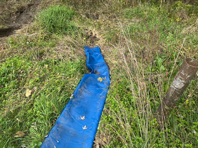 pics from late 2021 and early 2022. New plots being planted in Aug 2023 for new pics (64)