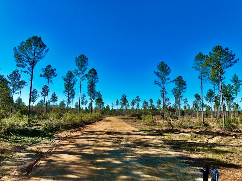 746487EE-71CA-45A8-8252-9DE899D23107_1_201_a