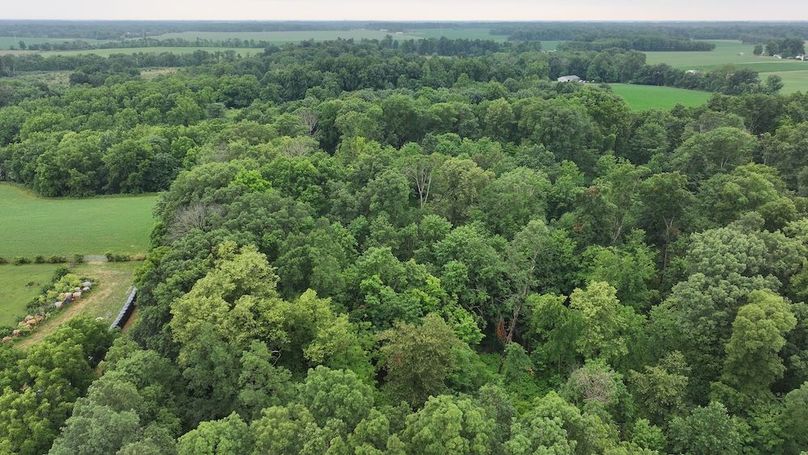 dji_fly_20240629_123914_0217_1719679397115_photo