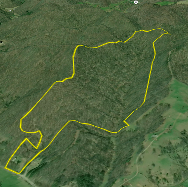 Screenshot 2026-01-27 at 10.28.32 AM