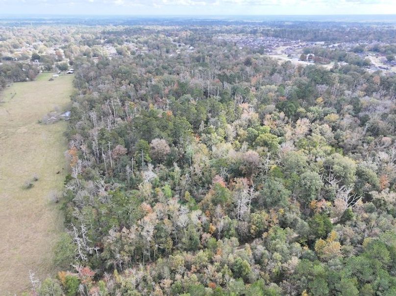 dji_fly_20251118_121030_0718_1763560722722_photo