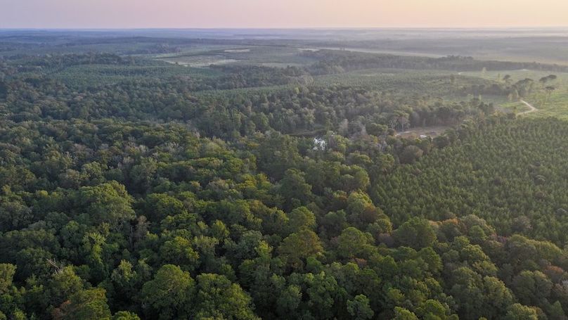 DJI_20250918072221_0071_D