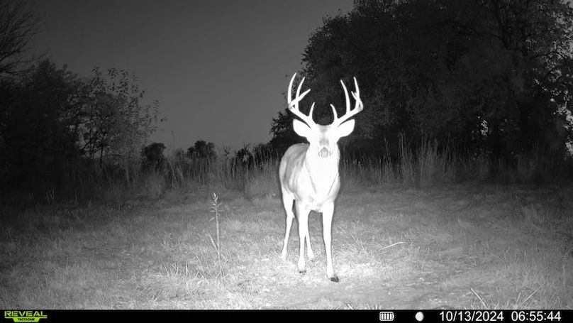 016579000438700-100-4-10132024065544-SYFW00958