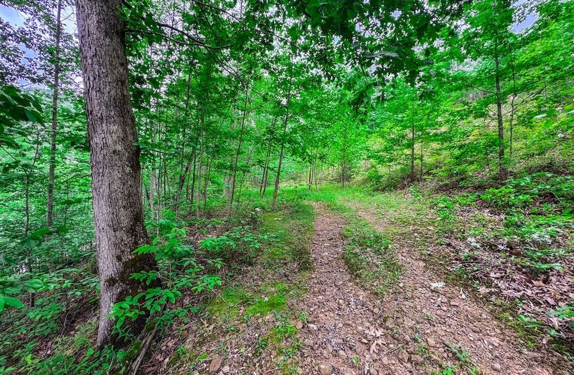 Clay, WV 14.839 AC-05