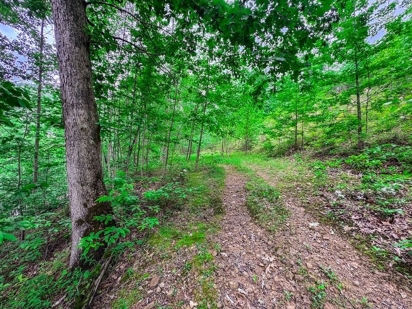 Clay, WV 14.839 AC-05