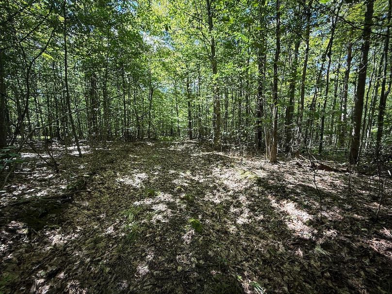 Tioga NY 64 Shores 12