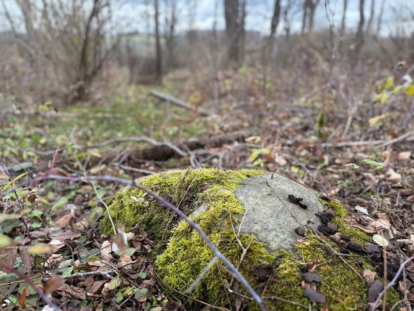 Tompkins_5.12_Galarza Photo 16