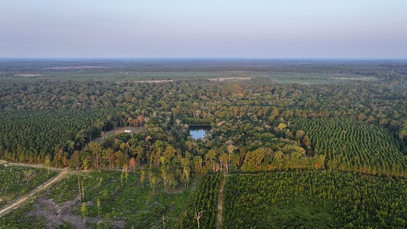 DJI_20250918071636_0052_D