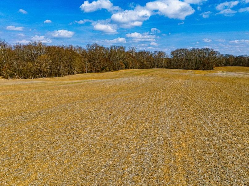 Gibson County Tract 1-08